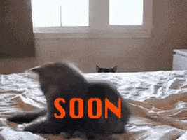 003DD9FB-50D8-48FE-A6FE-22EC18AEA5FD.gif