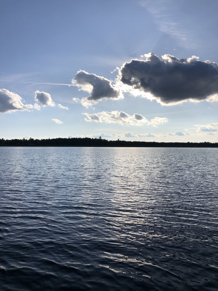 026B5558-7F61-42C4-8A2F-C448D58110C5.jpeg