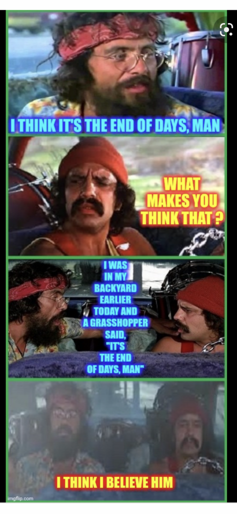 03DF6CA4-1AE4-4AB7-8539-2E15DA77DE20.png