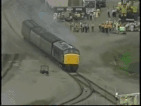 064ED2CE-ECAC-46A8-A0D8-26EAE73616E1.gif
