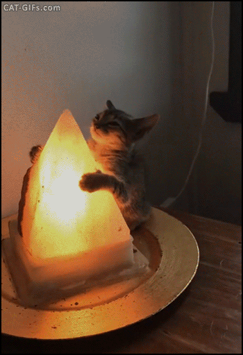 0gqujNV.gif