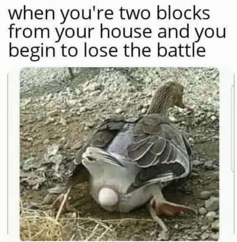 0micdjgldqp31.jpg