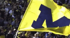 1000000106.gif