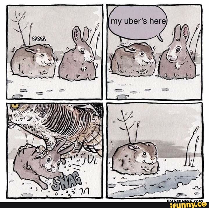 1000001786.jpg