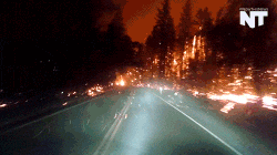 1000003288.gif
