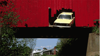 1000003289.gif