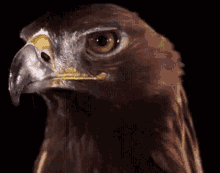 1000005698.gif