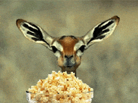 1000006462.gif