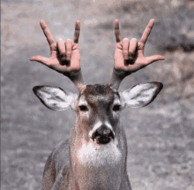 1000007669.gif