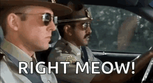 1000007711.gif