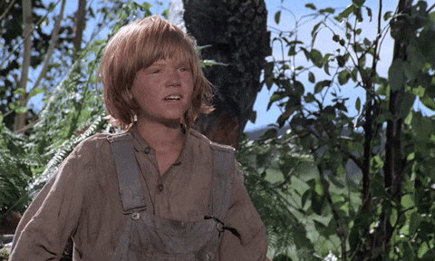 1000008336.gif