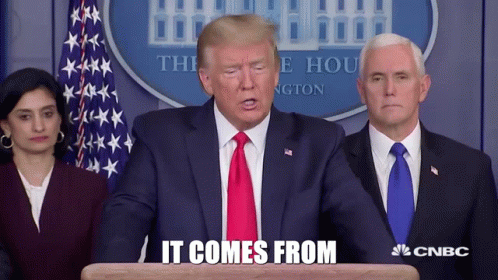 1000008584.gif