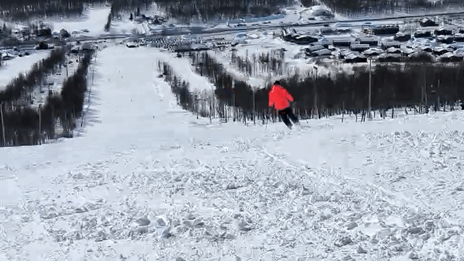 1000008726.gif