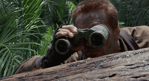 1000009127.gif