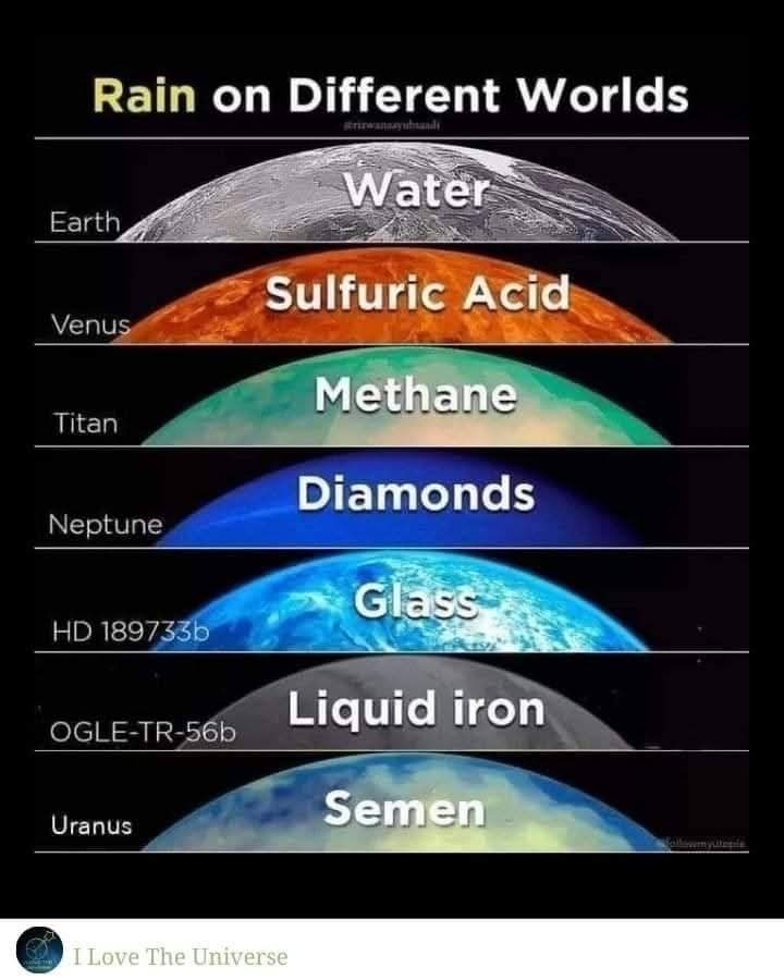 1000009894.jpg
