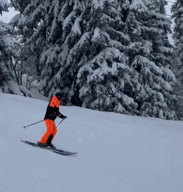 1000015479.gif