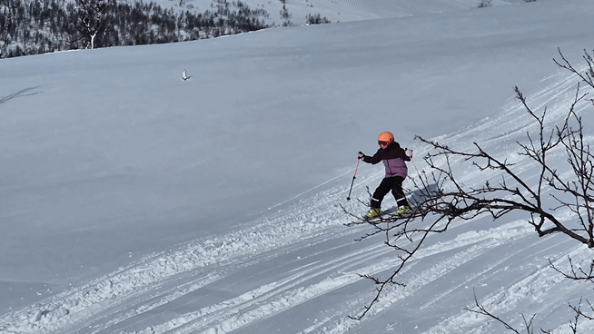 1000016822.gif
