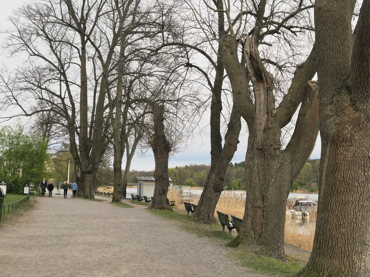 1000017743.webp