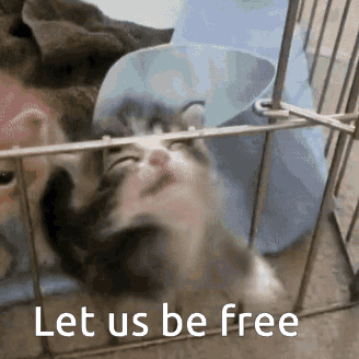 1000029473.gif