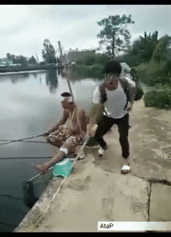 1000055609.gif