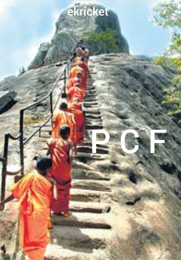 1000062436.webp