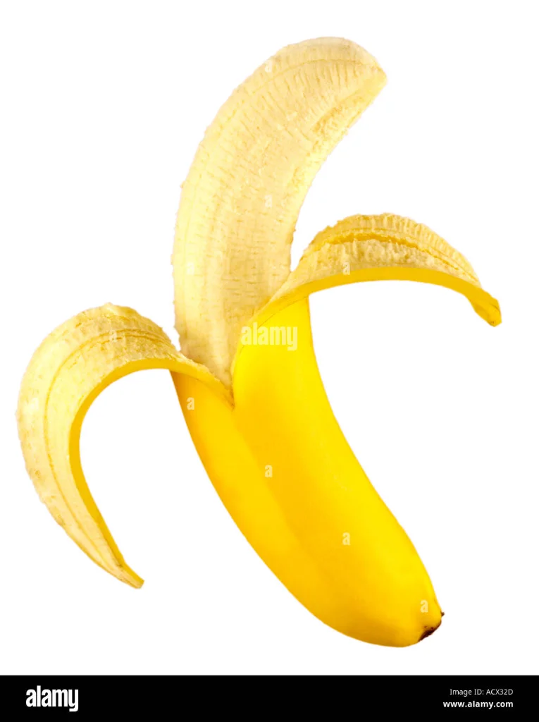 1000067645.webp