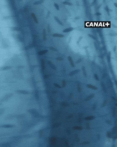 1000076011.gif