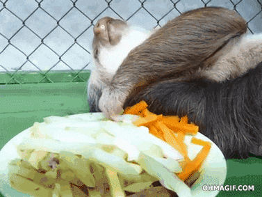 1000105633.gif