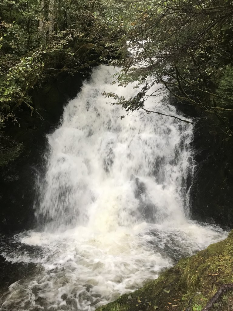 11710059-3784-4C0D-88DB-CECC1805C295.jpeg