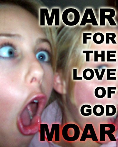 1187-moar-for-the-love-of-god-moar.jpg