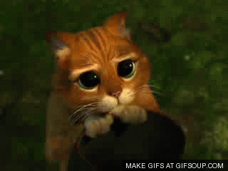 139B845C-5687-4785-9BEF-8E3319CE9F9F.gif