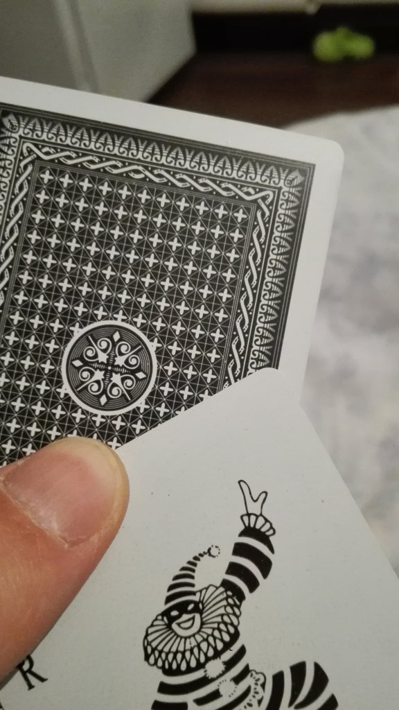 1477170106846641111977.jpg