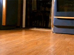 1563735054662.gif