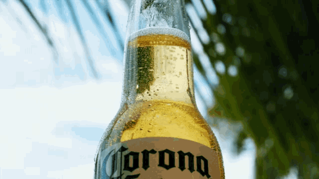 1565806123143.gif
