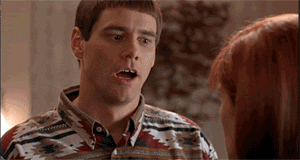 1566187309508.gif