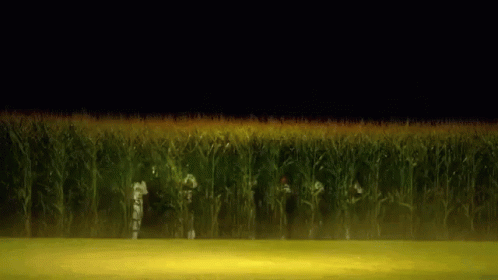 1566359678601.gif