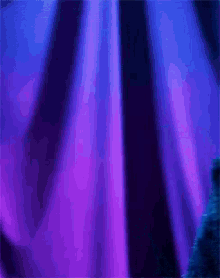 1582523672590.gif