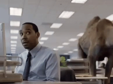 1583967861690.gif