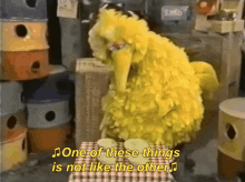 1586432074296.gif
