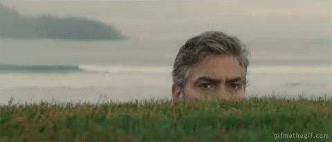 1586888895558.gif