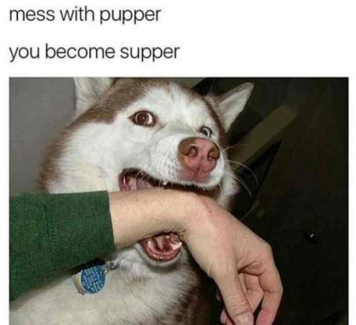 1590882772687.jpeg