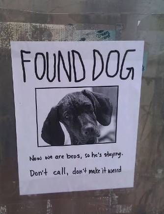 1591022492070.png
