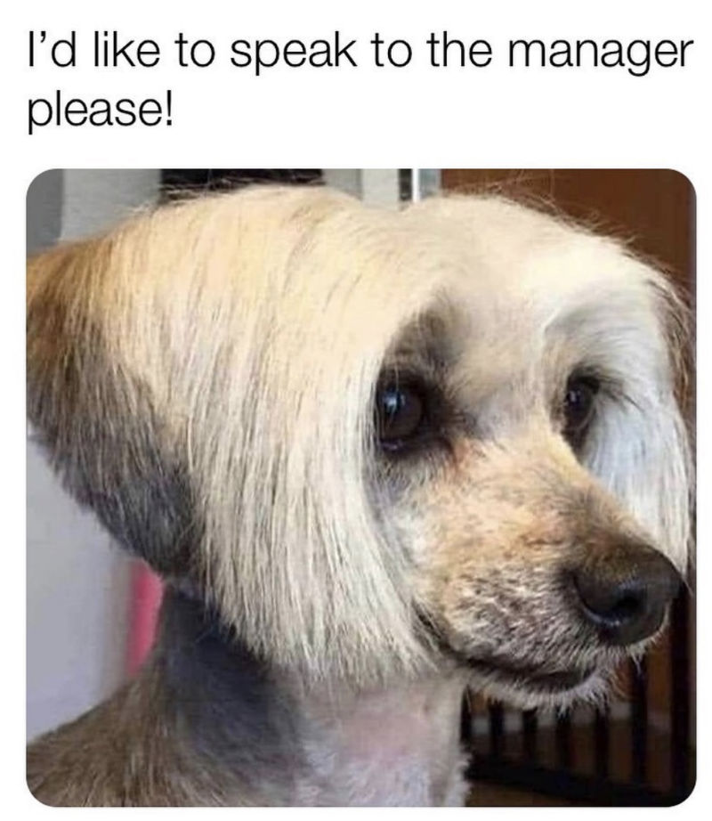 1593906372935.jpeg