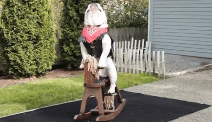 1595023429214.gif
