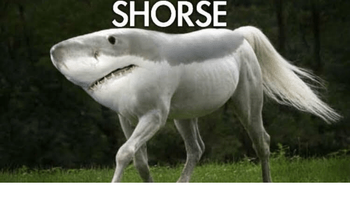1595599806812.png