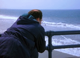 1597542419341.gif