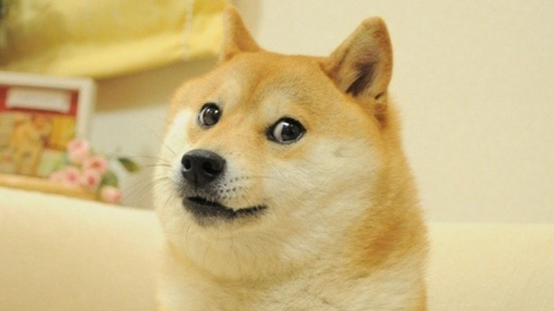 1599776036604.png