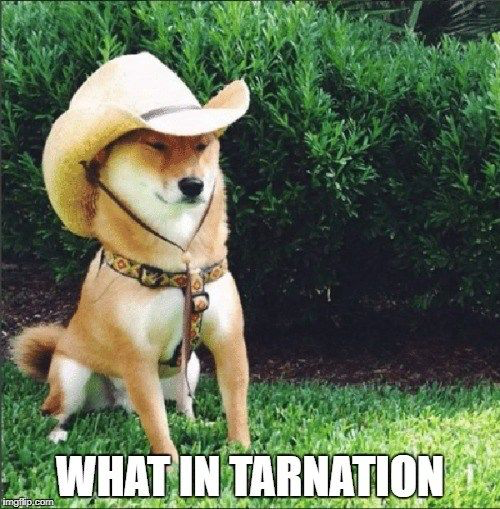 1600815068726.png