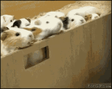 1604449499117.gif