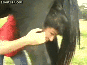 1604616777413.gif